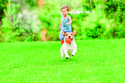 I bambini possono scatenarsi e giocare in giardino